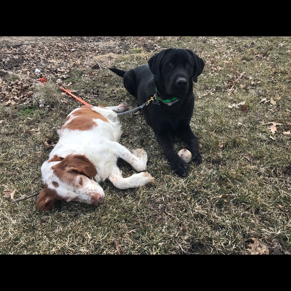 Meet your Posher, Abby